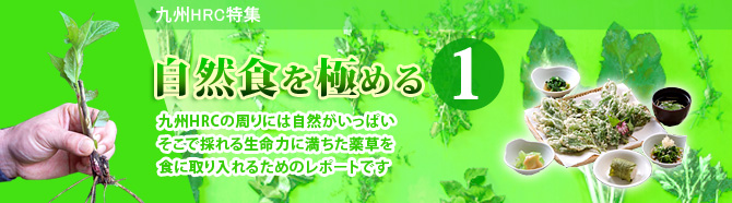 連載 自然食を極める 第1回